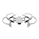 DJI DR1 - Propellerschutz mit integrierten Fahrwerks-Schnellverlängerungen für DJI Mavic-Mini-Drohnen, schneller Auf- und Abbau, Flugsicherheits-Zubehör - Grau