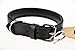 Schnüffelfreunde Halsband für Hunde aus Leder, Hundehalsband für den großen, mittleren und kleinen Hund, Lederhalsband gepolstert, robust (L - 36-45cm, Schwarz)