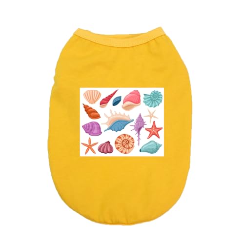 CNJKS TVc  hbOEFA ^hbOEGA  ybg p ybgp   ^ t  H  킢 IV fUC1  Vv ⊴ M TVc m[X[u