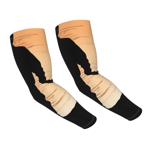 RLDOBOFE UV Sun Protection Arm Sleeves Father and son silhouette Compression Sleeves Cooling Arm Sleeves for Men Women Gardening Sleeves