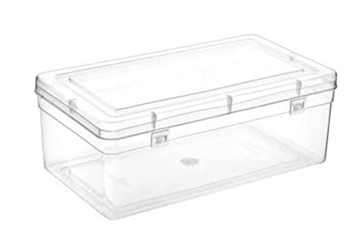 Kitchen Container Boxes with lid and lock system- Pack of 8 rectangular multipurpose plastic boxes for organizing Home Kitchen Stationery Ornaments and much more (Transparent-Pack of 8)