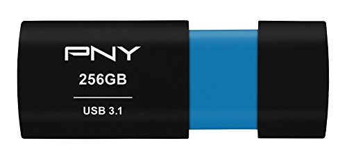 PNY Elite-X 256GB USB 3.1 Gen 1 Flash Drive, Read Speeds up to 200MB/s (P-FD256ELX-GE)