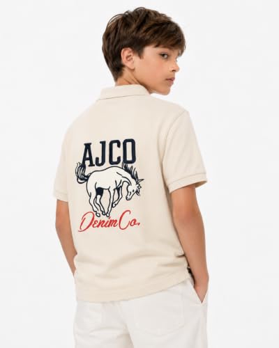 Image of Alan Jones Clothing Boy's Cotton Regular Fit Colorblock Regular Polo T-Shirt