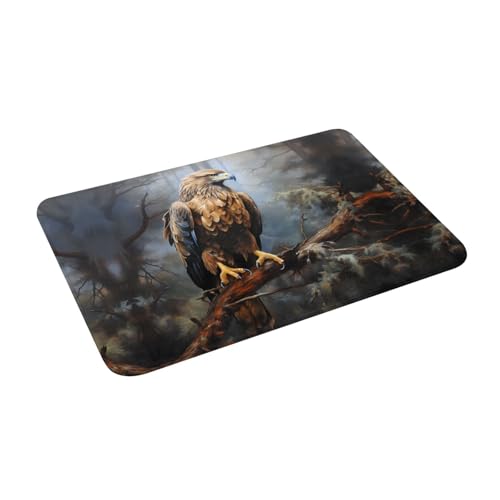 RRKDOY Anti Slip Floor mat Eagle on Branch Picture for Indoor and Outdoor Door mats, Suitable for Bedroom and Bathroom entrances 16x24in - Image 3