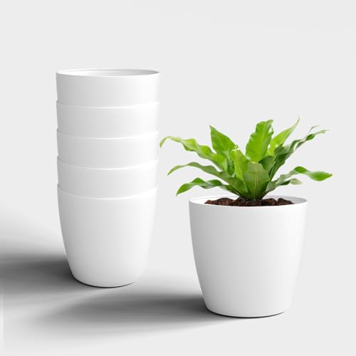 Image of YUCCABE ITALIA SHERA Stella 8 Inch Plastic Plant Pot for Home Decor Indoor Plant Pots for Living Room Plastic Flower Pot for Garden (White, 8 INCH - 6 Pcs)