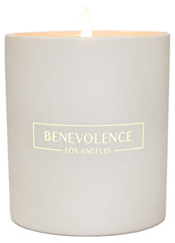 Premium Scented Candle Soy Candle | Luxurious Redcurrant & Vanilla Aromatherapy | Ceramic