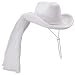 Beistle 60739 Western Bride’s Hat, One Size Fits Most, White, 1 Piece Pack