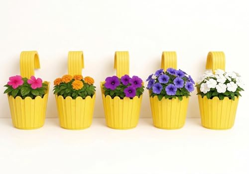 Image of Premium 6 inch Railing Planter with Hook - Durable Plastic Hanging Flower Pot for Balcony, Fence Design Gamla for Indoor /Outdoor Plants, Herbs & Creepers (5, Yellow)