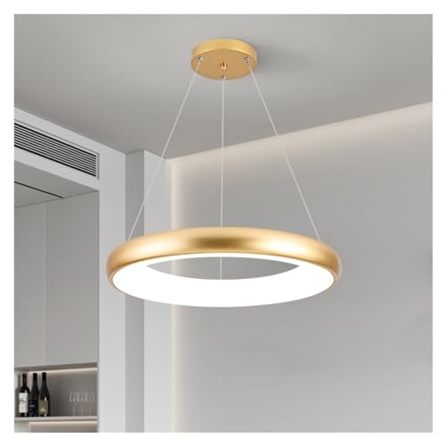 Suspension anneau LED moderne luminaire suspendu fer salon chambre salle à manger