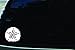 5.5" X 5" Sand Dollar Vinyl Die Cut Decal for Your Car, Truck, Laptop, Window