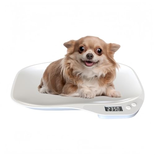 JORERAORMESybg̏dvLEE^pxfW^\ƒ/ybgXpVqybgΉRpNg݌vő15kg܂Ōv\