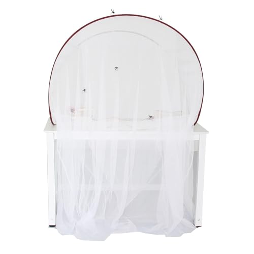 Maille d'été pour bureau haut de gamme : baldaquin de protection transparent