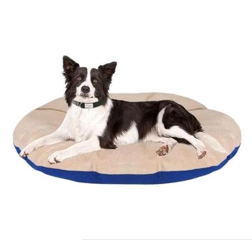 SKYMINT Large Dog Bed, for Big Dogs, Plush Cushion, Grey (S) (B0D17XT5VV) Amazon Price History, Amazon Price Tracker
