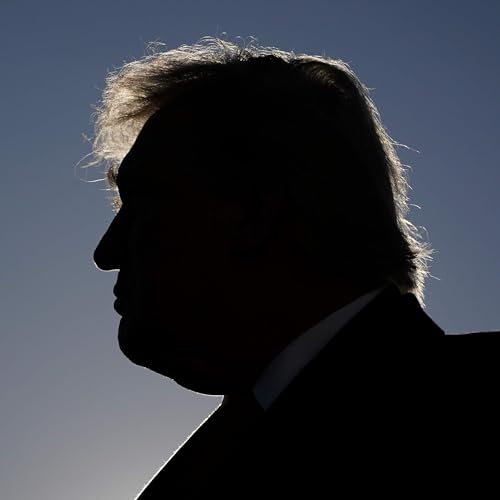 Who gets to decide when the President sues his own government?