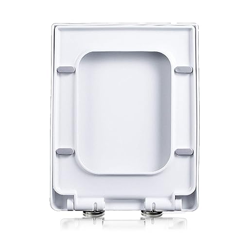 gCV[g NCbN[X XNGA zCg X[N[Y p قƂǂ̃uhɓK