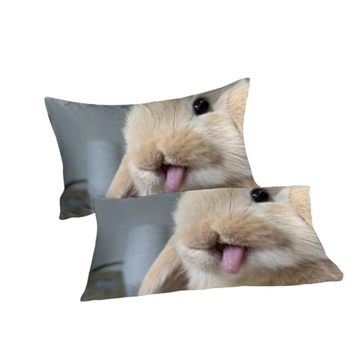 Housse de couette double 200x200 lapin et 2 taies d'oreiller microfibre - 7
