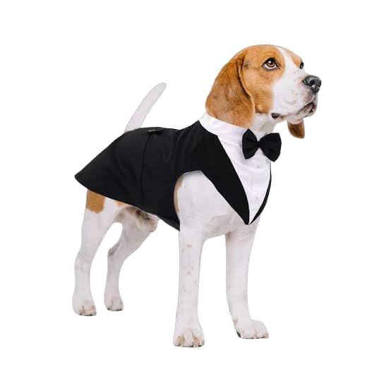 Bhumi Enterprises Dog Tuxedo and Bandana Set, Dog Clothes Bow Tie, Dog Dresses forDogs Wedding Party,and Casual, Dog Prince Shirt Formal Dog Weeding Attire (Black) (14) (B0CFB9SLFG) Amazon Price History, Amazon Price Tracker