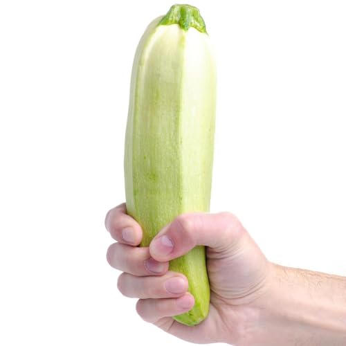 semillas de calabacín jardín de interior, semillas techo verde bonsái jardín trepadoras calabacín, organicas 60pcs