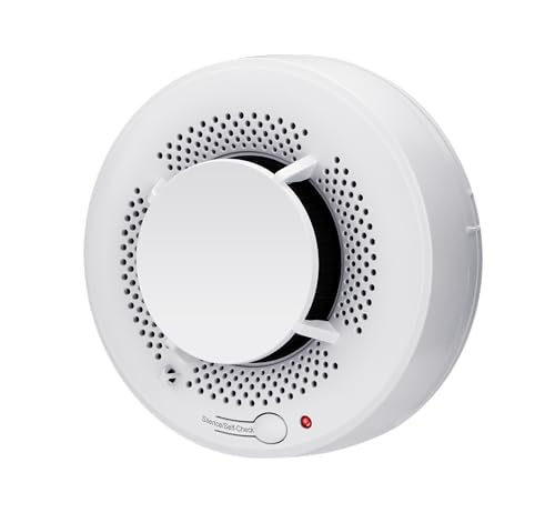 2-in-1 Smoke and Heat Detector Fire Alarms Smoke Detectors with Advanced Photoelectric Smoke Alarm...