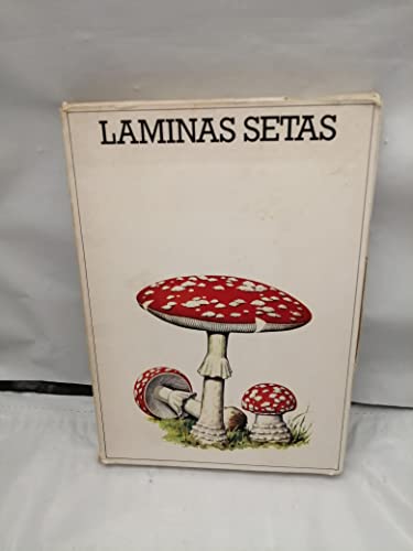 LAMINAS SETAS. 50 laminas