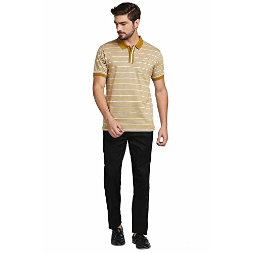 Image of Colorplus Men's Pure Cotton Solid Pattern Classic Fit Polo Neck Half Sleeve Casual T-Shirt