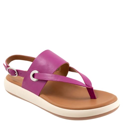 SoftWalk Women's Joliet Sandal