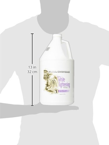 https://m.media-amazon.com/images/I/318c+jnHirL.jpg