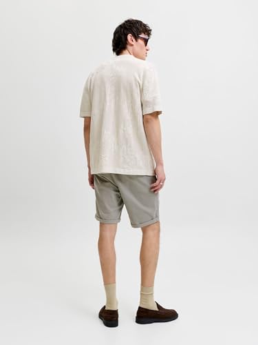 JACK & JONES Male Chino Shorts Regular Fit Chino Shorts 3