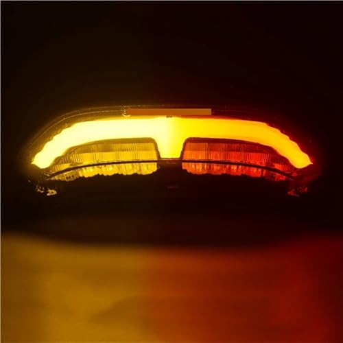 Luz trasera CBR600RR integrada para eliminar intermitentes rotos de moto 5