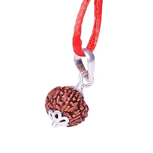 Image of REBUY 8 Mukhi Rudraksha Pendant Indonesian /Java Rudraksha Lab Certified Original Rudraksha Pendant for Men & Women, Origin Indonesian, Color Brown