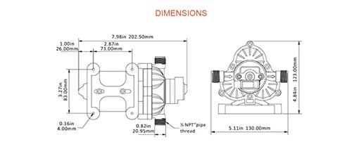 Seaflo Dc Diaphragm Pump - 12V, 3.0 Gpm, 45Psi W/ Automatic Switch #TOP5