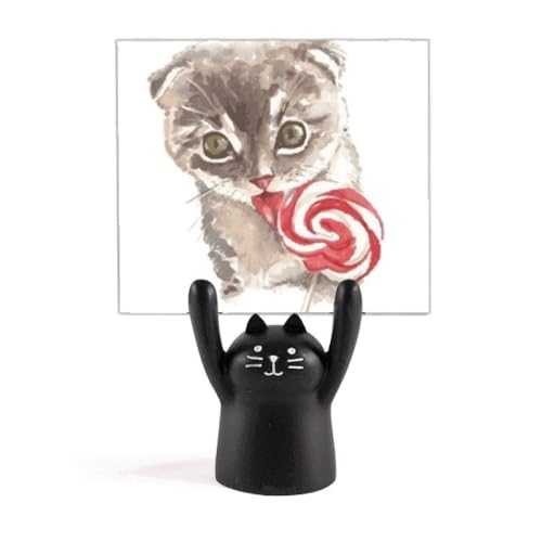 ȔL̖_LfB[̐ʉ̓ J[gD[LX^h^z_[