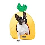NANDOG Insta Fun Specialty Dog and Cat Bed Collection (Pineapple)