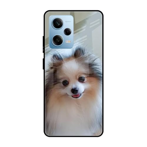 Image of SmashItUp Dog | Animal | Cute Puppy Designer Printed TPU Metal Case Mobile Back Cover for Redmi Note 12 Pro 5G