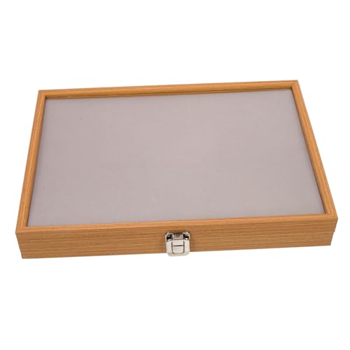 Alipis Caja Expositor para Pines y Broches con Tapa Transparente Organizador Compacto para Joyas Pulseras y Pendientes Diseño Clásico y Ligero para Escritorio o Tienda