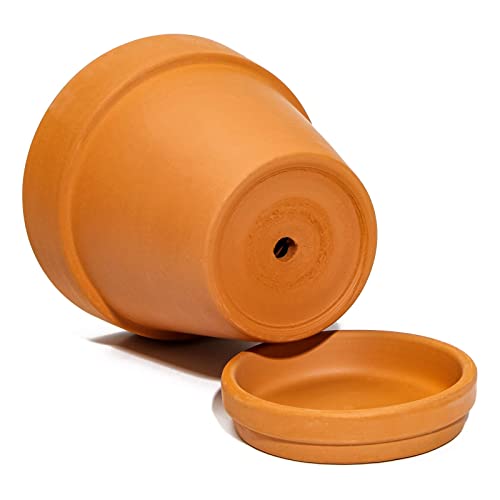 Juvale 6-Pack Small Terra Cotta Pots With Saucer And Drainage Hole, 4 Inch Terracotta Pot For Succulents, Flowers, Cactus, Nursery, And Garden, Indoor And Outdoor Use, Diy Crafts #TOP6