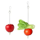 ShanBye Vogel Spieß,2 PCS Papagei Spieß Futterspender Edelstahl Frucht-Gemüse Spießs für Vögel Futtersuch Spielzeug Wellensittich Zubehör Vogelkäfig Spielzeug für Papageien Sittiche Nymphensittiche