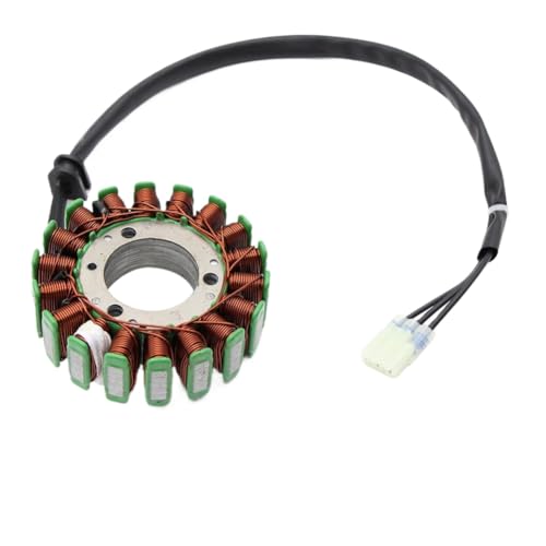 Bobine de stator de moto 55439104000 de qualité supérieure pour EXC 300