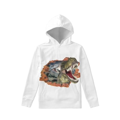 Kids 3D Print Dinosaur Pullover Hoodies Warm Thick Hooded Sweatshirt with Pocket for Boys Girls 6-16 Years