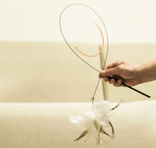 DUJIAOSHOU Brinquedos de Penas para Gato, Brinquedo Interativo para Gato, Palito de gato engraçado c