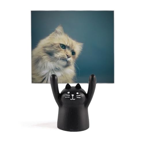 ̃u[̔Lʐ^Be J[gD[LX^h^z_[