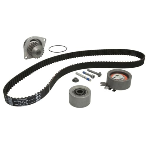 INA 530023730 Pompe à eau pour réparer les bruits de courroie dentée moteur