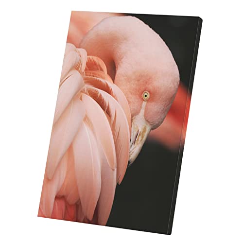 Portrait flamant rose impression haute définition 40x60