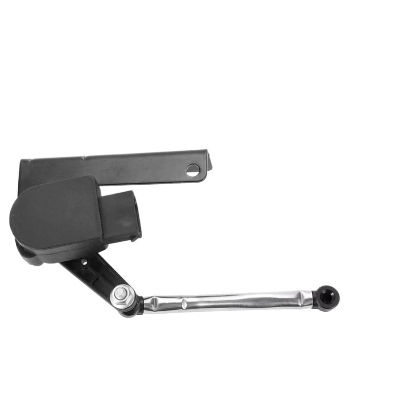 アガベ ノコギリ鋸歯がヤバいオテロイ実生の小株 アガベ ノコギリ鋸歯がヤバいオテロイ実生の小株