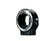Nikon Z 6 Spiegellose Vollformat-Kamera mit Nikon FTZ-Adapter (24,5 MP, 12 Bilder pro Sek., 5 Achsen-Bildstabilisator, OLED-Sucher mit 3,69 Millionen Bildpunkten, AF mit 273 Messfeldern, 4K UHD Video)