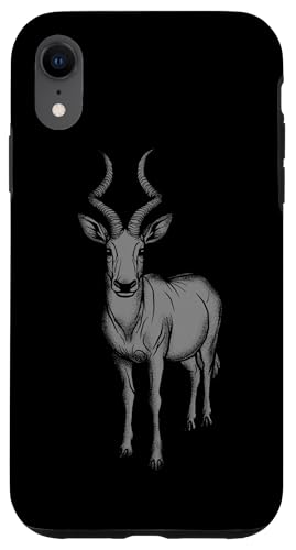 O[K[ X}zP[X iPhone XR p