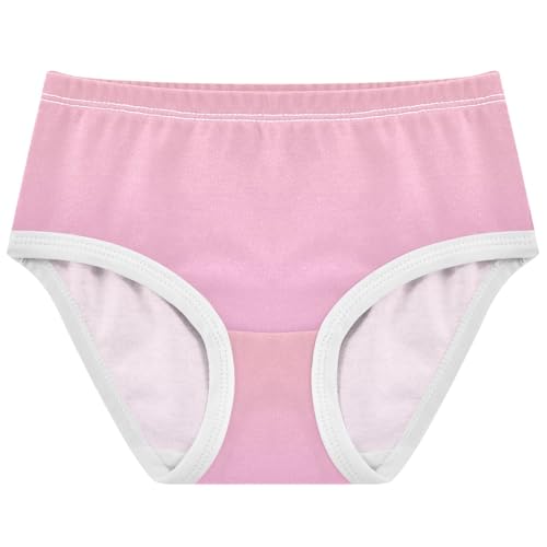 Joisal Cotton Toddler Underwear Floral Blush Pink Pearl Gradient Panties Little Girl Fun Print Briefs Undies Kids 2t
