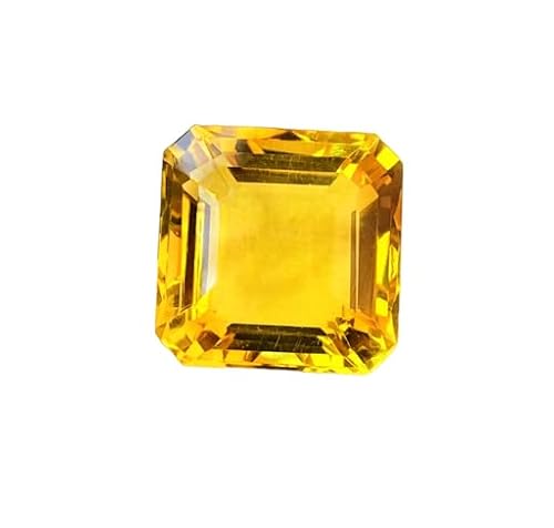 DENMOUS 11.25 ���b�e�B �V�R�C�G���[�T�t�@�C�A�X�g�[�� ���{�F��J�[�h�t�� �V�R�C�G���[�T�t�@�C�A�X�g�[��/�I���W�i���Z�C�����i�� �v�N���W �W�F���X�g�[�� �j�����p - B0C7N4KBB9-DNM