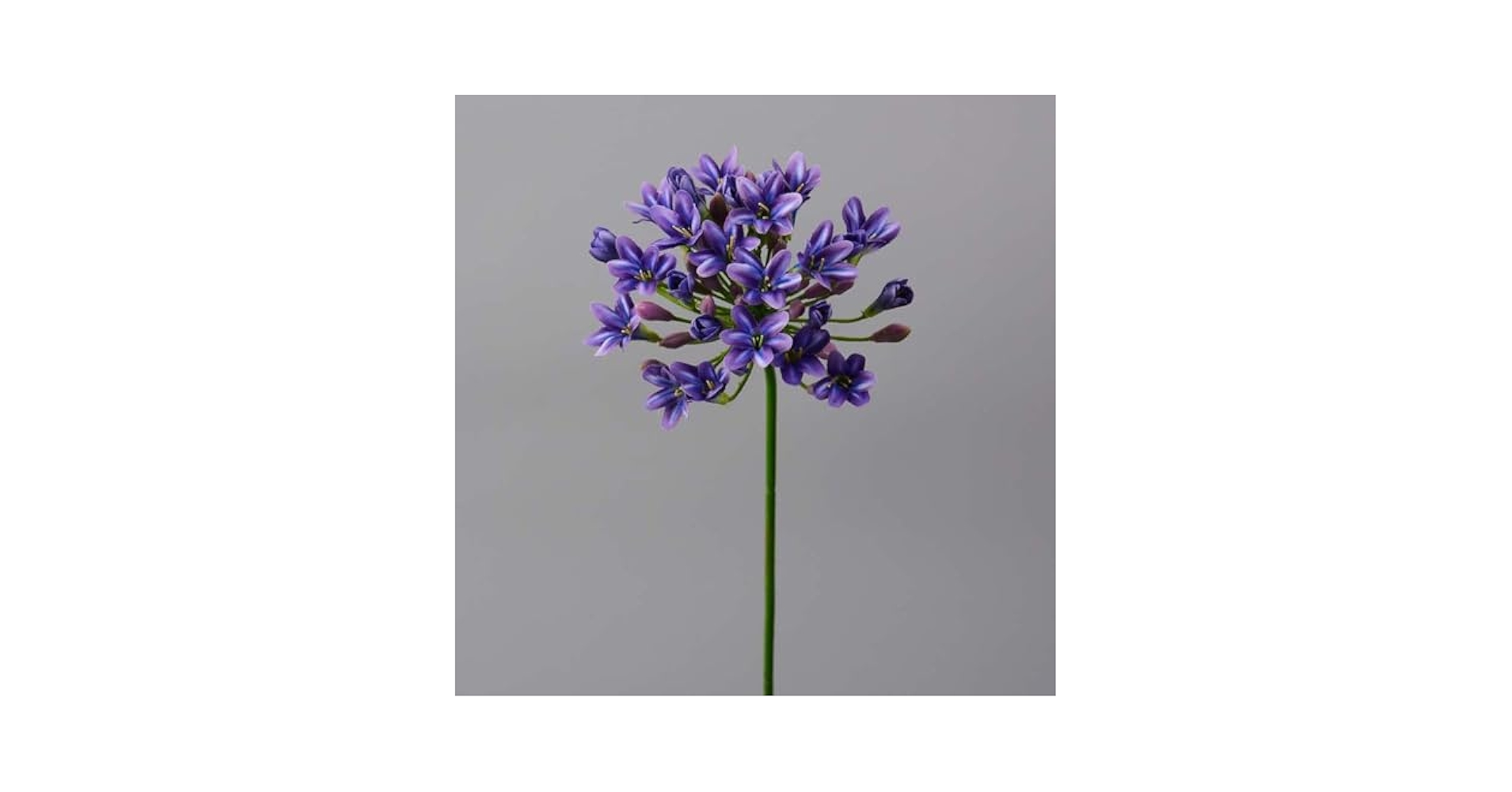 Amazon｜Foxace アガパンサス 造花 リアル 北欧風 インテリア