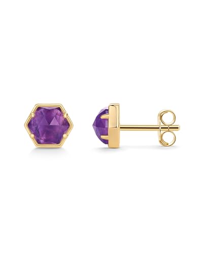 PAVOI 14K Yellow Gold Plated Hexagon Amethyst Stud Earrings for Women - Natural Birthstone Earring Pair